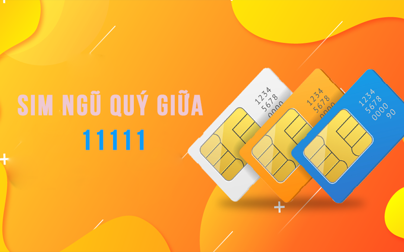 sim-ngu-quy-giua-1 